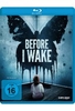 Before I Wake