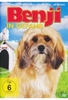 Benji in Gefahr