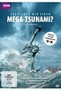 Überleben wir einen Mega-Tsunami?