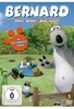 Bernard - Dont Worry,  Bär Happy!