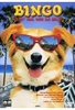 Bingo - Kuck mal wer da bellt!
