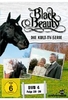 Black Beauty - DVD 4/Folge 20-26