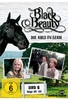 Black Beauty - DVD 6/Folge 33-39