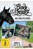 Black Beauty - DVD 8/Folge 46-52