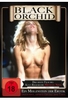 Black Orchid