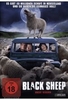 Black Sheep - Uncut