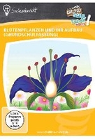 Blütenpflanzen und ihr Aufbau (Grundschulfassung)