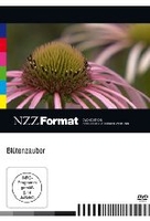 Blütenzauber - NZZ Format