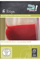 Blutgruppen und Rhesus-Faktor