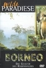 Borneo - Die Geister des Regenwaldes