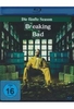 Breaking Bad - Season 5 [2 BRs]
