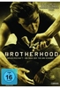 Brotherhood - Steelbook