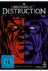 Brothers of Destruction - Greatest Matches