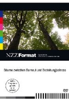 Bäume zwischen Burnout und Beziehungsstress - NZZ Format