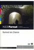 Burnout als Chance - NZZ Format
