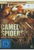 Camel Spiders - Angriff der Monsterspinnen