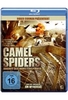 Camel Spiders - Angriff der Monsterspinnen