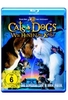 Cats & Dogs - Wie Hund und Katz