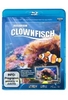 Clownfisch-Aquarium