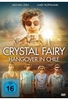 Crystal Fairy - Hangover in Chile