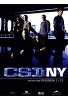 CSI: NY - Season 1/Box-Set 1 [3 DVDs]