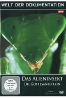 Das Alieninsekt - Die Gottesanbeterin - Welt der Dokumentationen