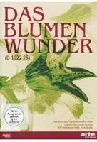Das Blumenwunder