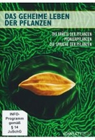 Das geheime Leben der Pflanzen