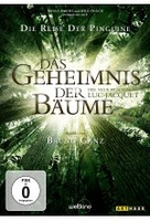 Das Geheimnis der Bäume