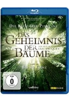 Das Geheimnis der Bäume