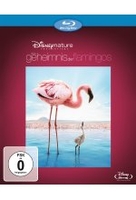 Das Geheimnis der Flamingos