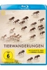 Das große Wunder der Tierwanderungen - National Geographic [2 BRs]