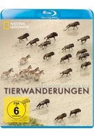 Das große Wunder der Tierwanderungen Teil 1 - National Geographic