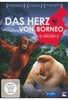 Das Herz von Borneo