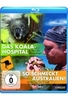 Das Koala-Hospital - So schmeckt Australien!