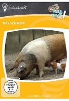 Das Schwein