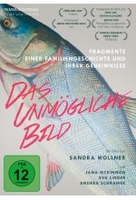 Das unmögliche Bild