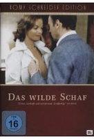 Das wilde Schaf