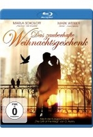 Das zauberhafte Weihnachtsgeschenk