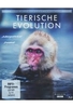 David Attenborough: Tierische Evolution