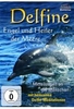 Delfine - Engel und Heiler der Meere