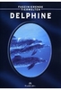 Delphine - Faszinierende Tierwelten