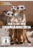 Der Clan der Erdmännchen - National Geographic