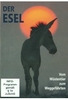Der Esel - Vom Wüstentier zum Weggefährten