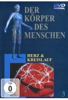 Der Körper des Menschen 3