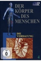 Der Körper des Menschen 4