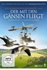 Der mit den Gänsen fliegt