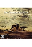 Der Schimmelreiter