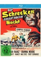 Der Schrecken schleicht durch die Nacht