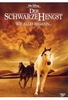 Der schwarze Hengst - Wie alles begann